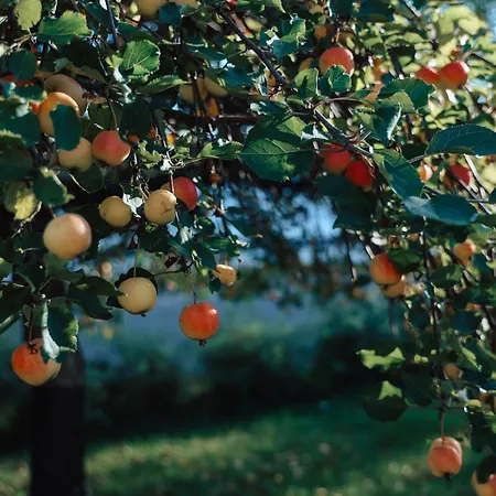 Aurora River View 3-bedroom By Booklapland Appartement