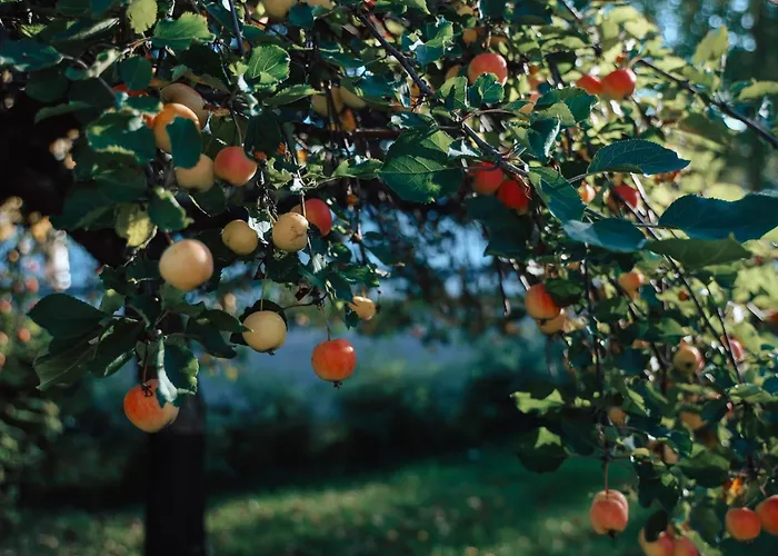 Aurora River View 3-bedroom By Booklapland Lägenhet